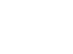 Woltman logo wit